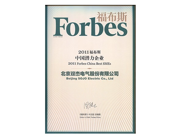 El potencial de la empresa china Forbes